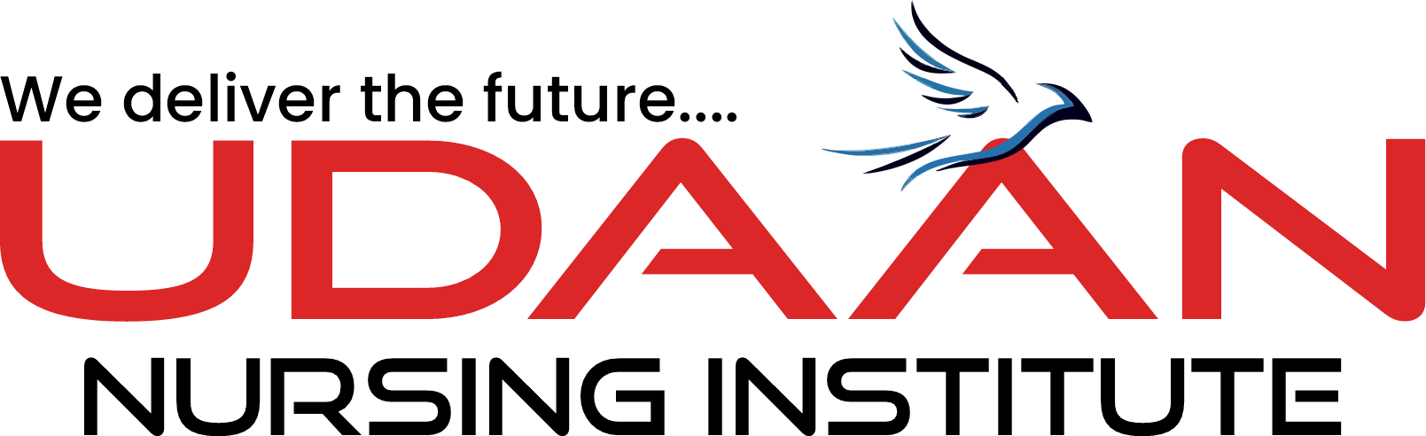 UDAAN Nursing Institute